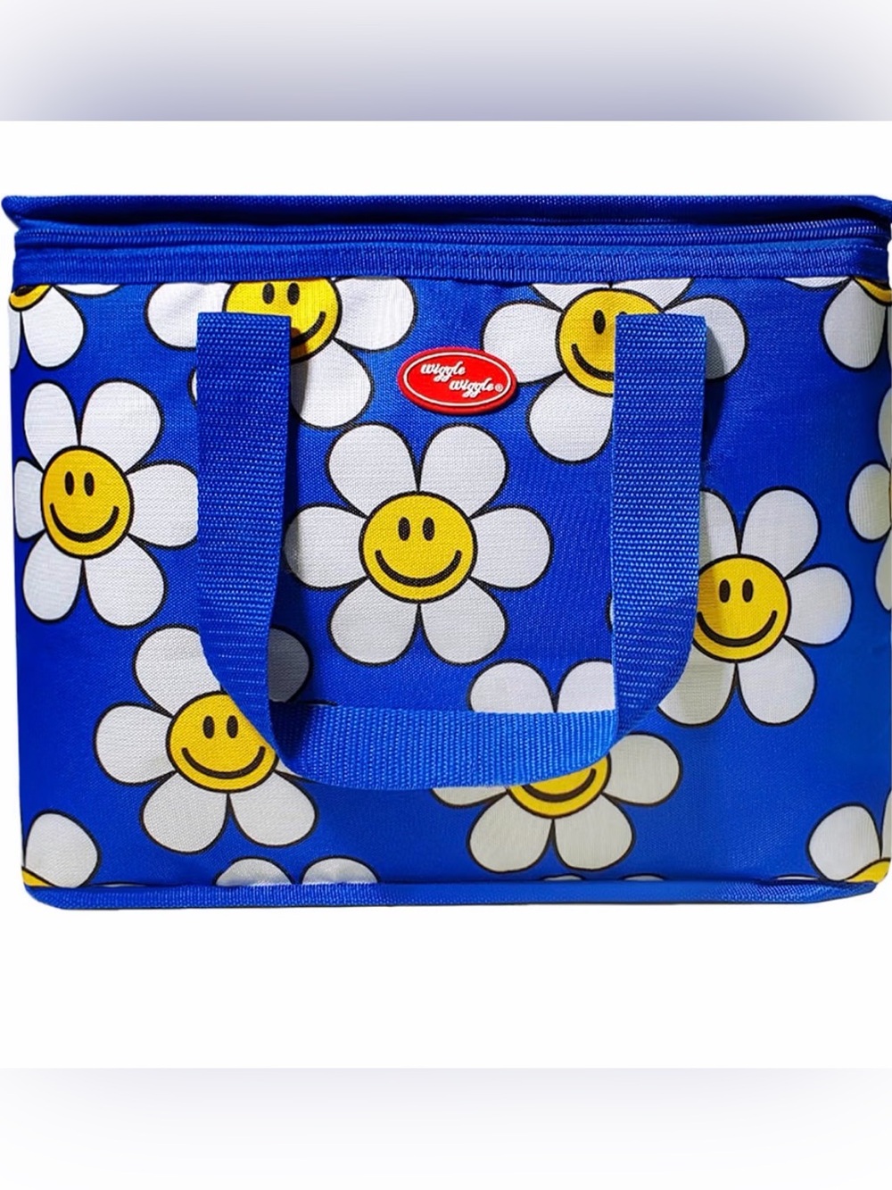 Insulated Lunch Box, Reusable Cooler Tote Bag with Thermal Insulation